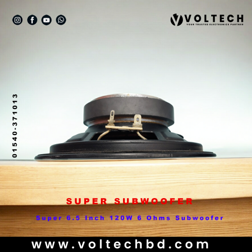 Super 6.5 Inch 120W 6 Ohms Subwoofer – Powerful Bass at an Affordable Price
